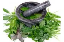 Mayasıl Bitkisel Çözüm