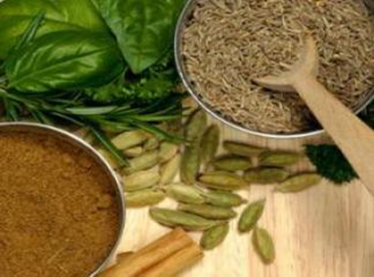 Mayasıl Nasıl Geçer?